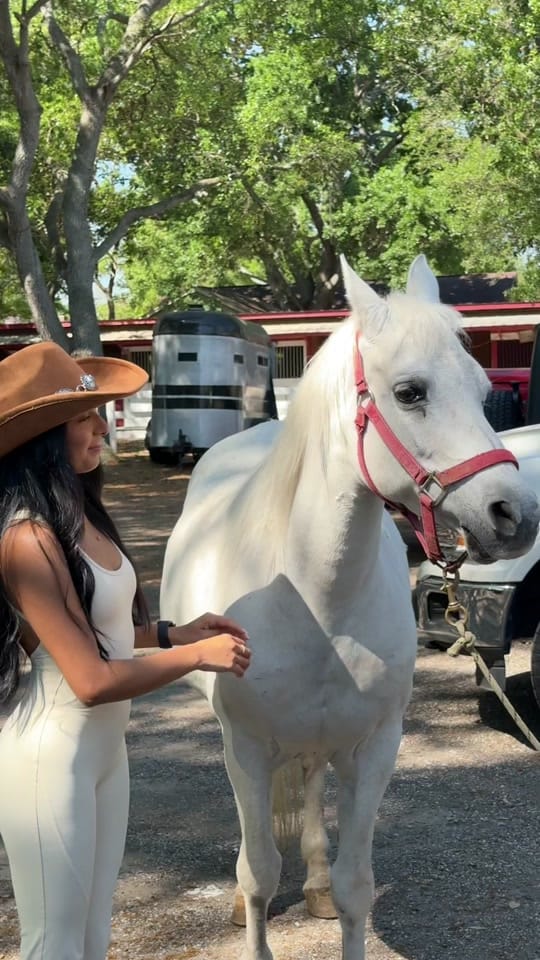 Post 1 by Liz | MIA Wellness & Lifestyle on TikTok (video)
