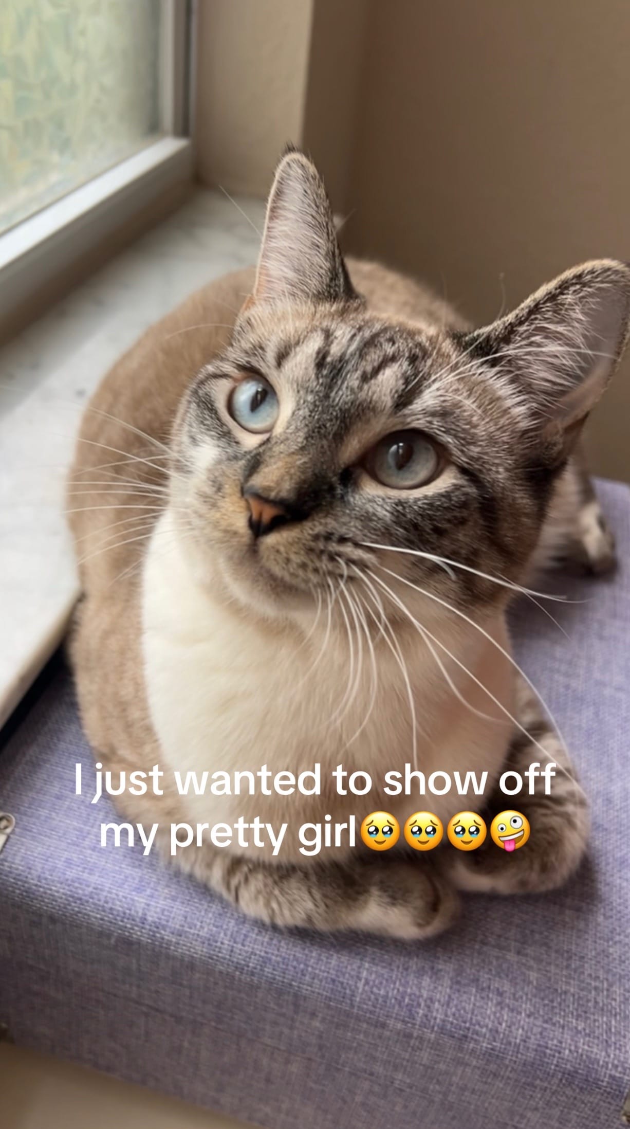 Post 5 by strawberry shortcake 🤍 on TikTok (video)