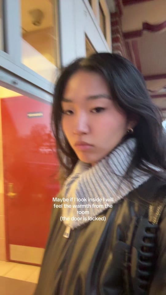 Post 8 by Elise on TikTok (video)