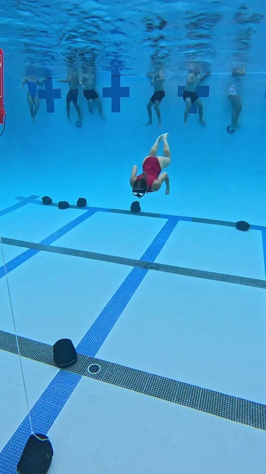 Post 2 by laura.novack on TikTok (video)