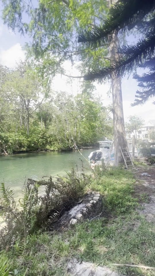 Post 6 by littlemiss0live🔆💛 on TikTok (video)