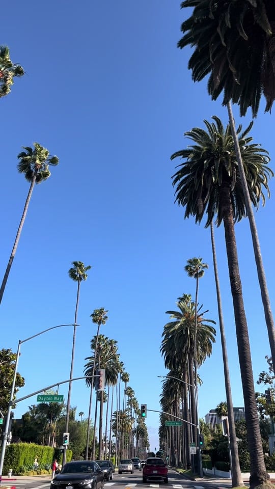Post 9 by Lauren Whitehead on TikTok (video)