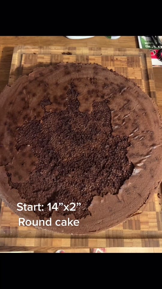 Post 4 by Daniella Maldonado on TikTok (video)
