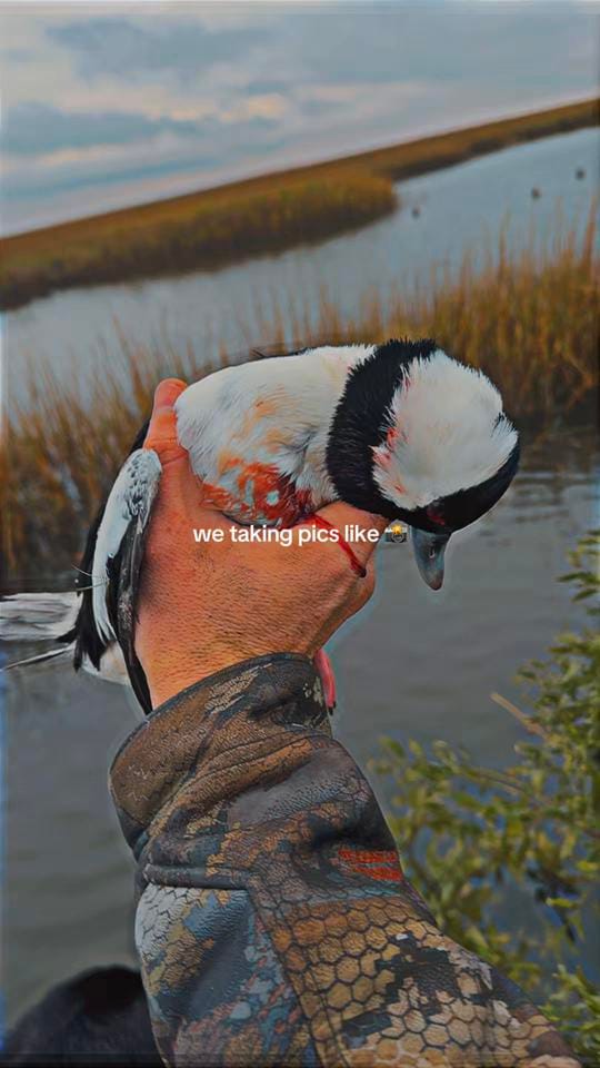 Post 9 by Trey Hubbard on TikTok (video)