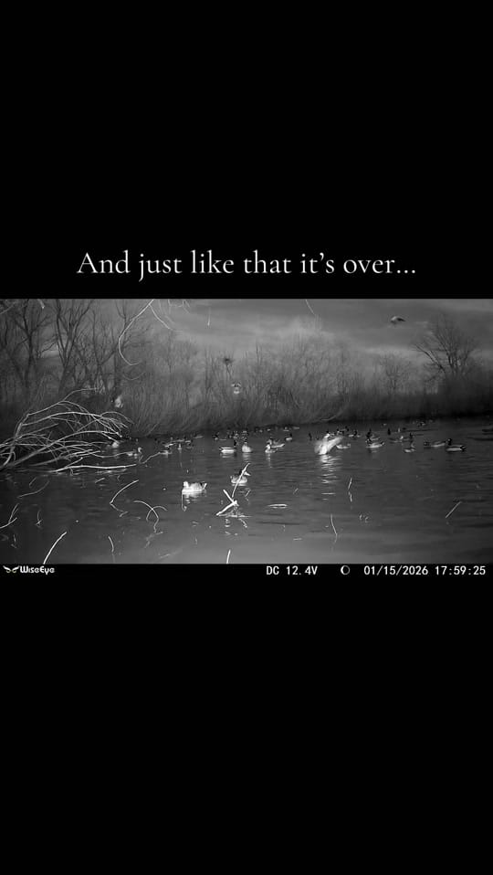 Post 5 by Trey Hubbard on TikTok (video)
