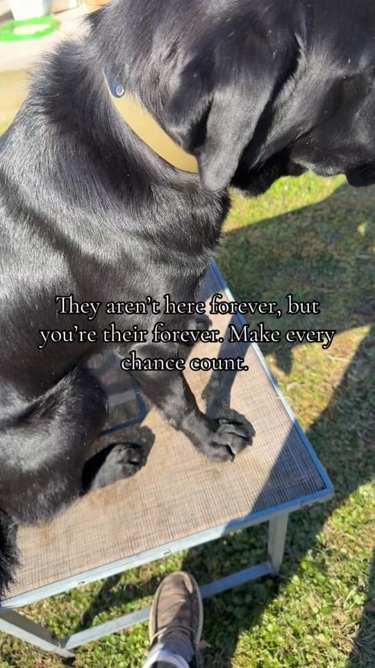 Post 7 by Trey Hubbard on TikTok (video)