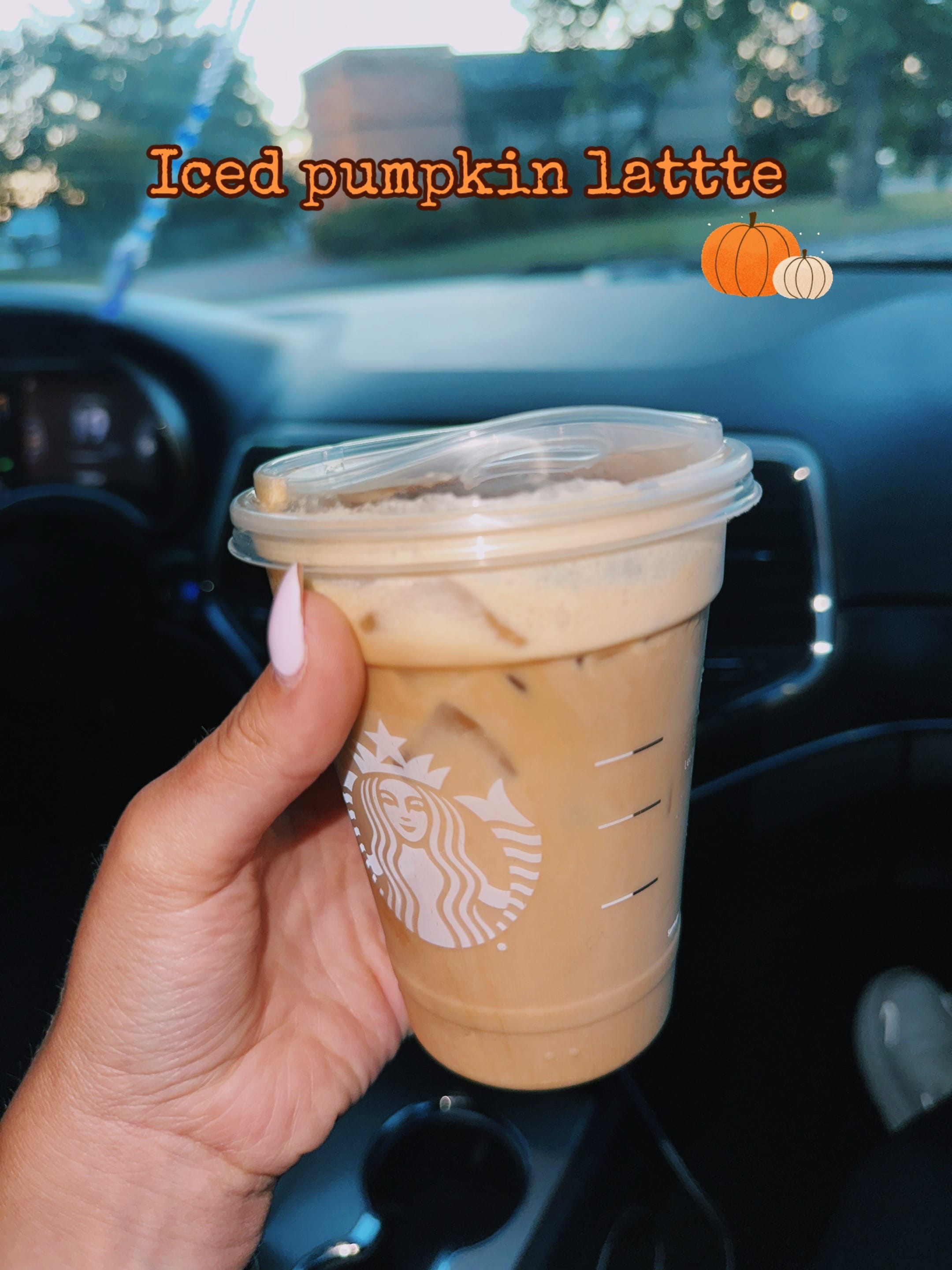 Post 3 by Juliana LaMarca on TikTok (video)