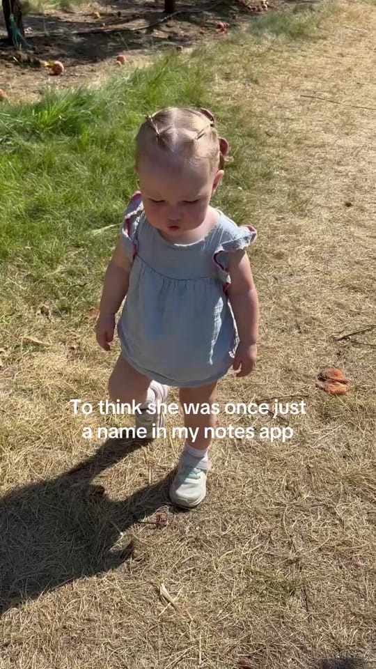 Post 5 by Avery Willoughby on TikTok (video)