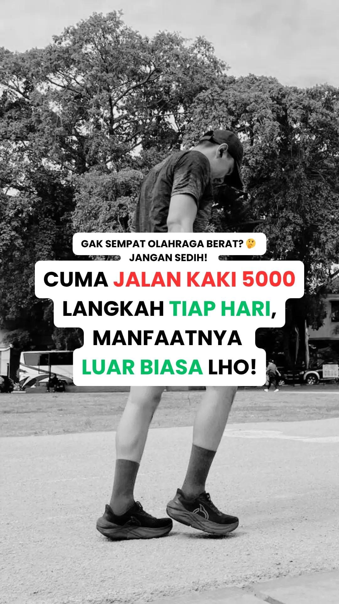 Post 6 by Randi Maizul on TikTok (video)
