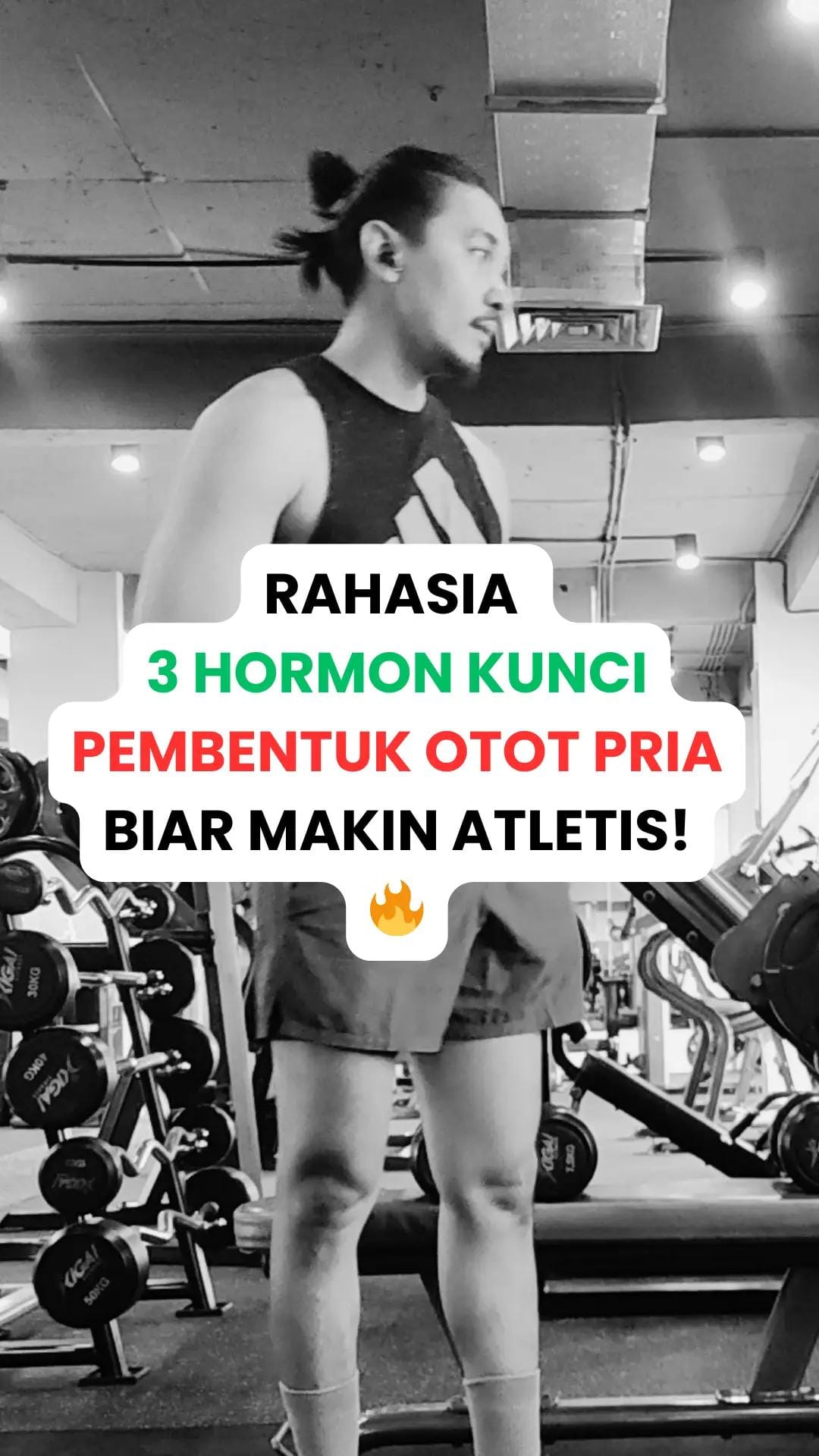 Post 8 by Randi Maizul on TikTok (video)