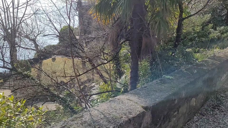 Post 2 by Mario Lorentz on TikTok (video)