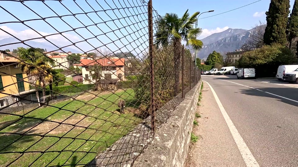 Post 5 by Mario Lorentz on TikTok (video)