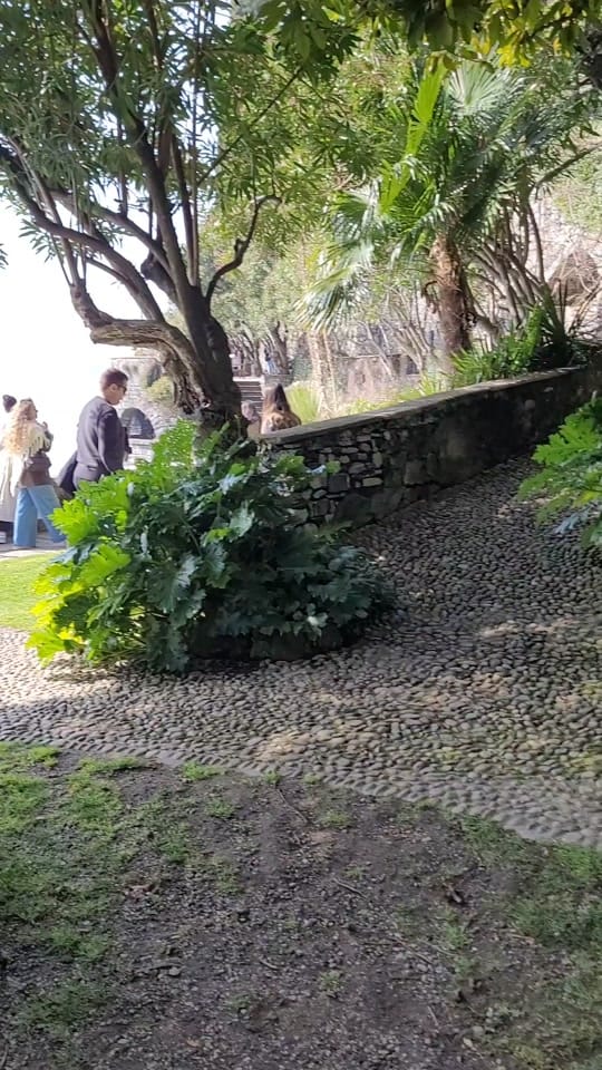 Post 4 by Mario Lorentz on TikTok (video)