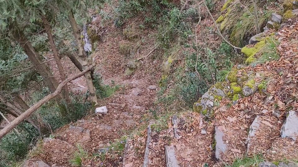 Post 7 by Mario Lorentz on TikTok (video)