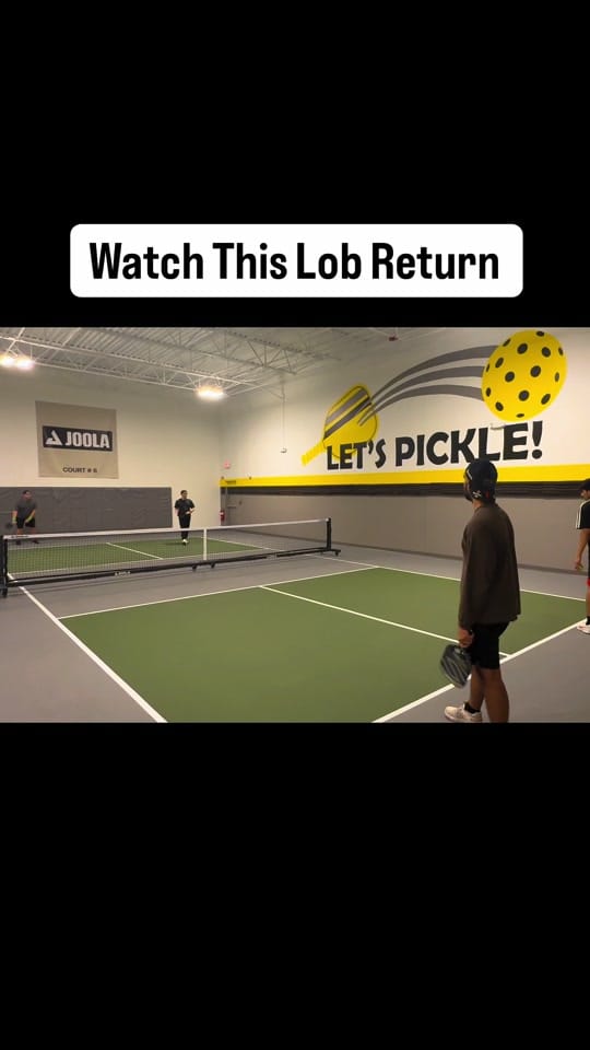 Post 5 by Pickle With Pratham on TikTok (video)