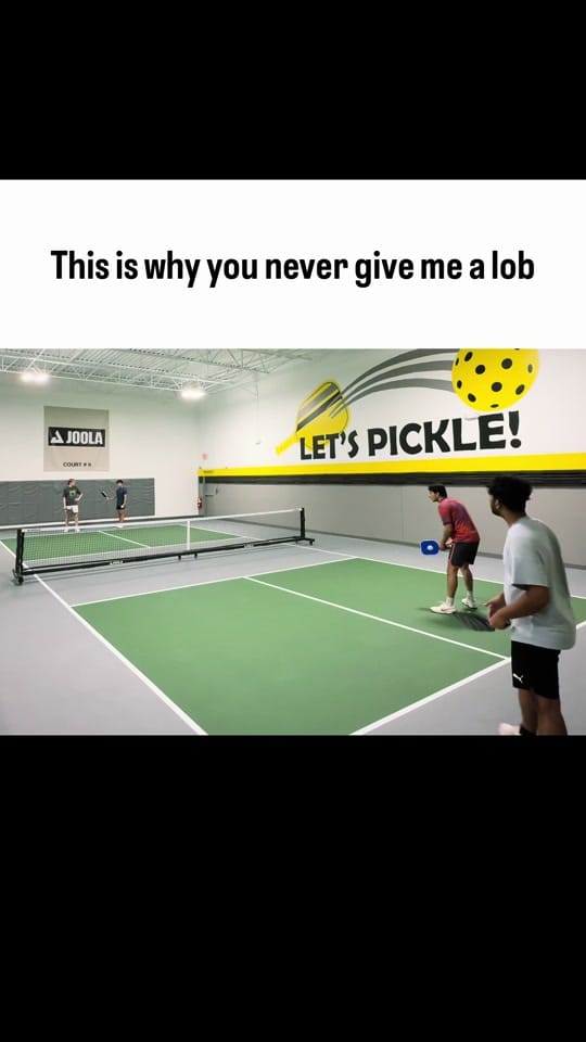 Post 10 by Pickle With Pratham on TikTok (video)