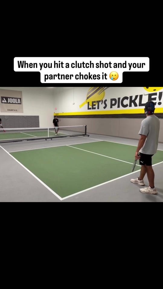 Post 3 by Pickle With Pratham on TikTok (video)