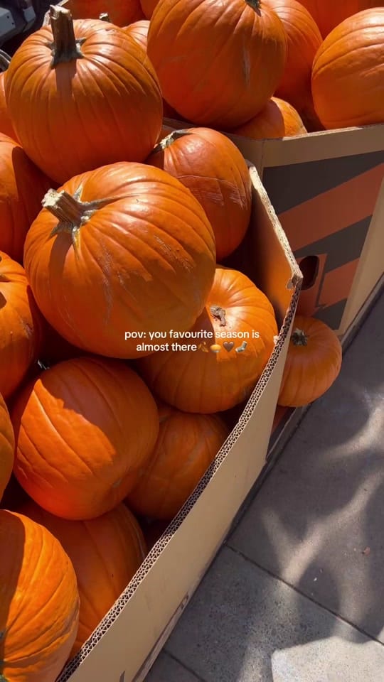 Post 10 by Oli on TikTok (video)