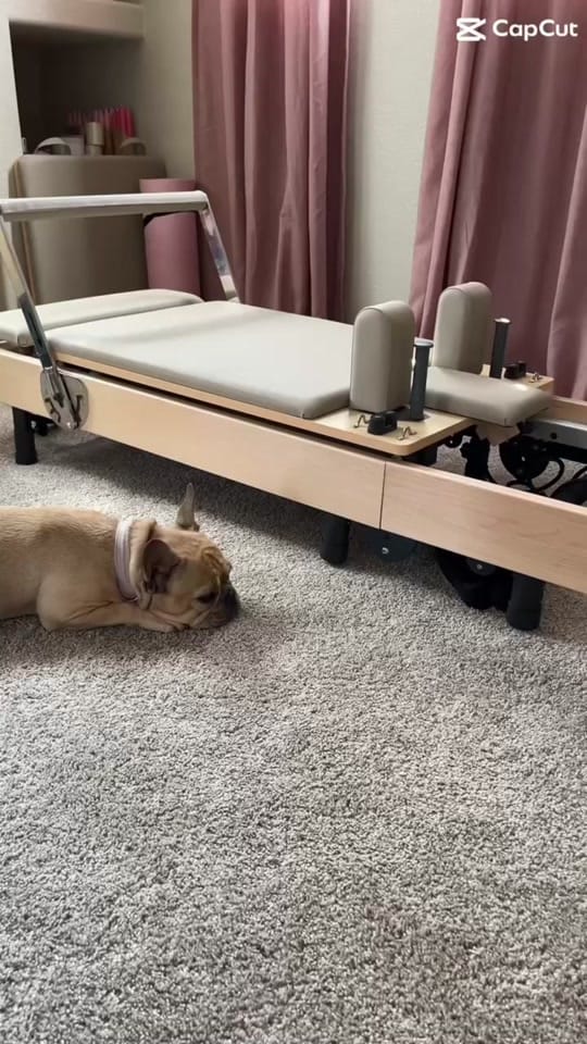 Post 1 by Monét | Lifestyle & Founder on TikTok (video)