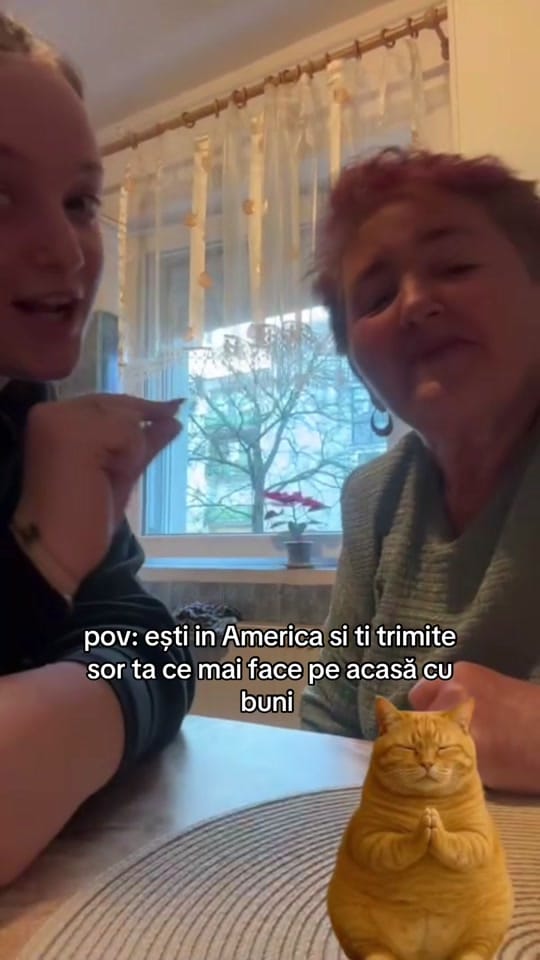 Post 3 by Turcu Vlad on TikTok (video)