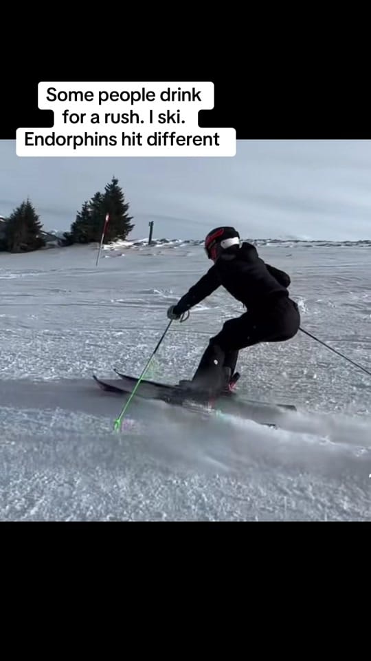 Post 5 by Carissa Klein on TikTok (video)