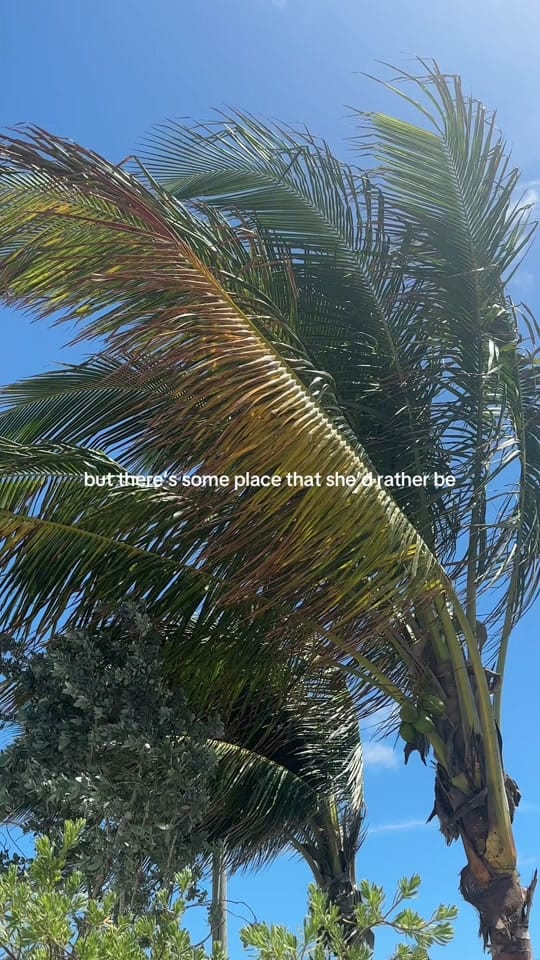 Post 5 by sarah doherty on TikTok (video)