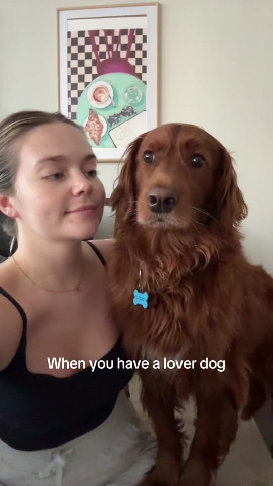 Post 9 by Lauren Gibs on TikTok (video)