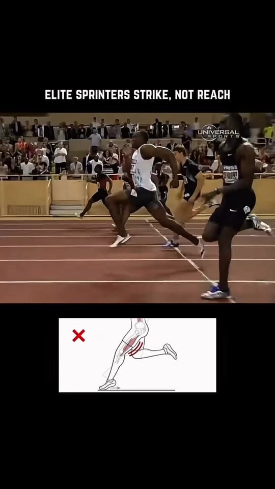 Post 3 by Brett Morse on TikTok (video)