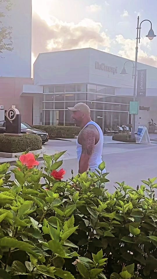 Post 4 by George _miami on TikTok (video)