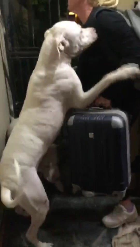 Post 5 by Florencia Luque on TikTok (video)