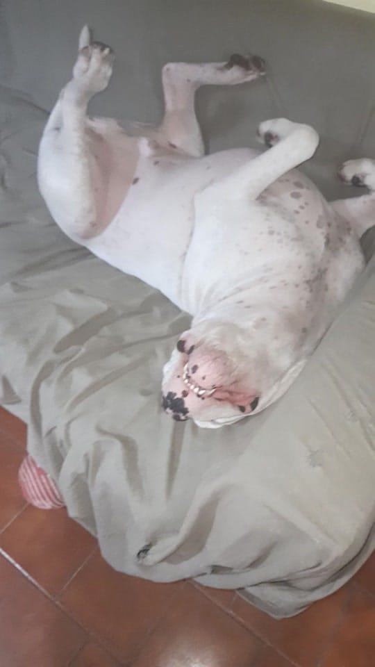 Post 6 by Florencia Luque on TikTok (video)