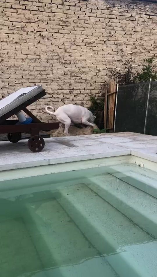 Post 2 by Florencia Luque on TikTok (video)