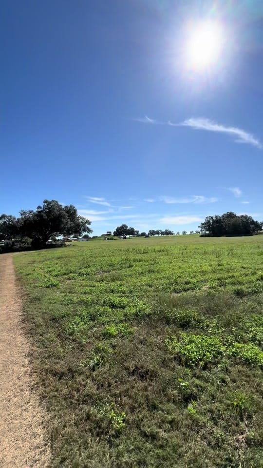 Post 1 by Katie on TikTok (video)