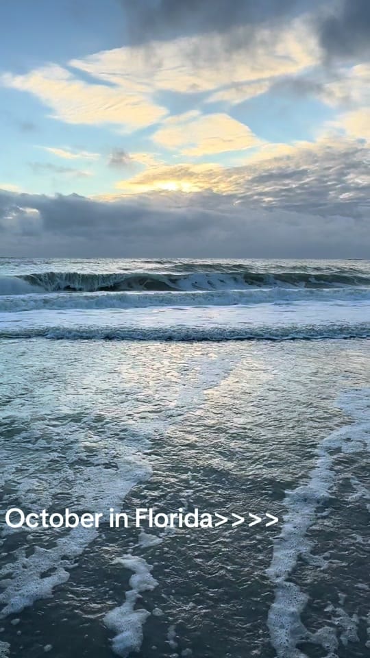 Post 7 by Katie on TikTok (video)