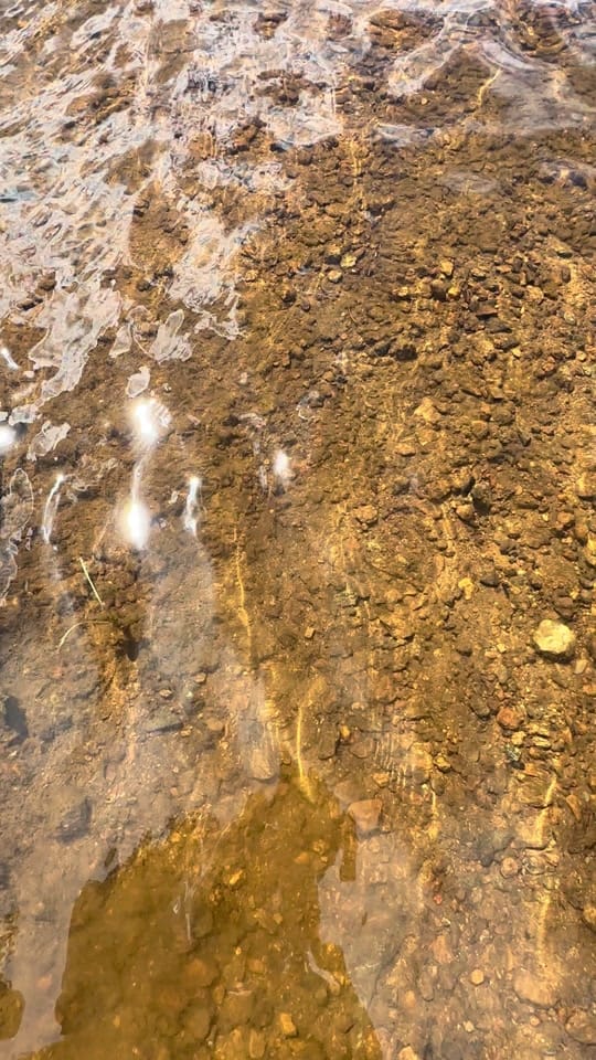 Post 10 by Katie on TikTok (video)