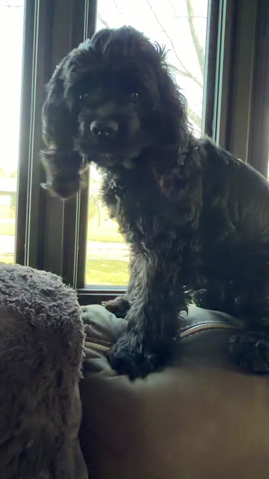 Post 5 by Riquella Johnston on TikTok (video)