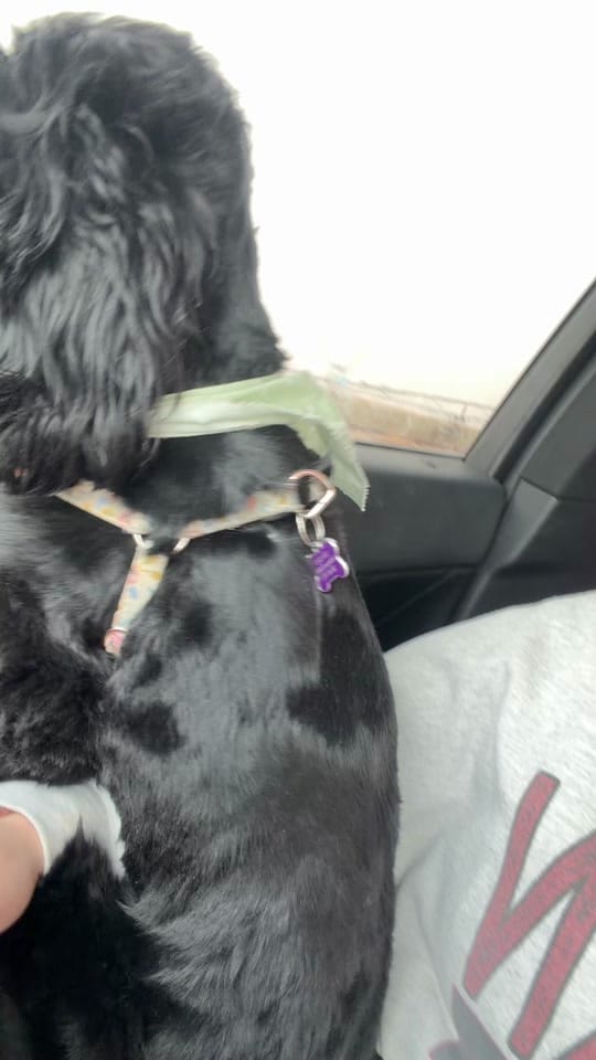 Post 1 by Riquella Johnston on TikTok (video)