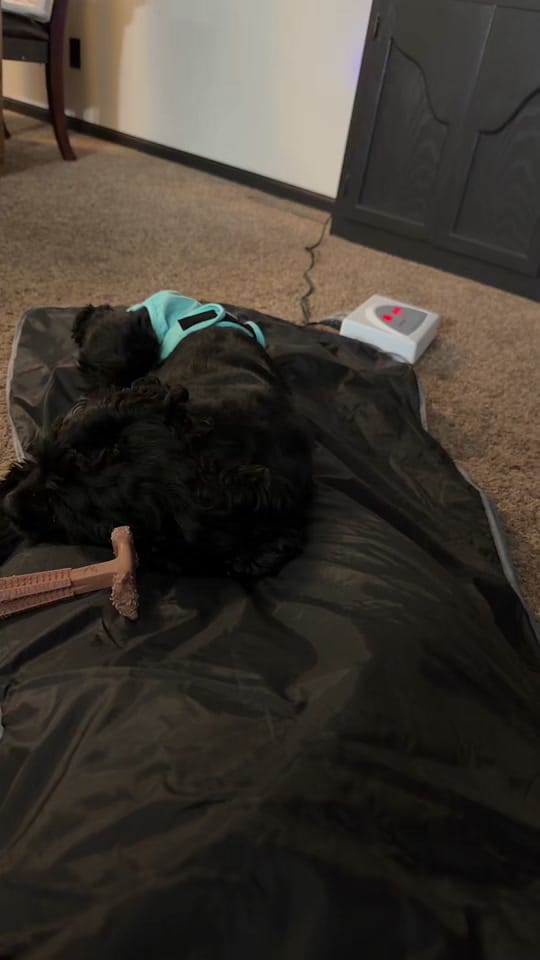 Post 7 by Riquella Johnston on TikTok (video)