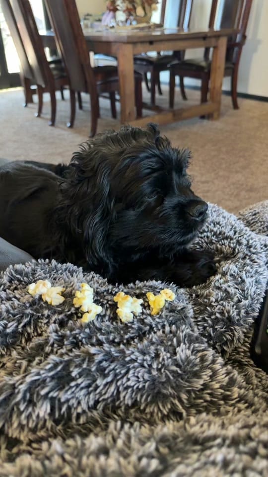 Post 6 by Riquella Johnston on TikTok (video)