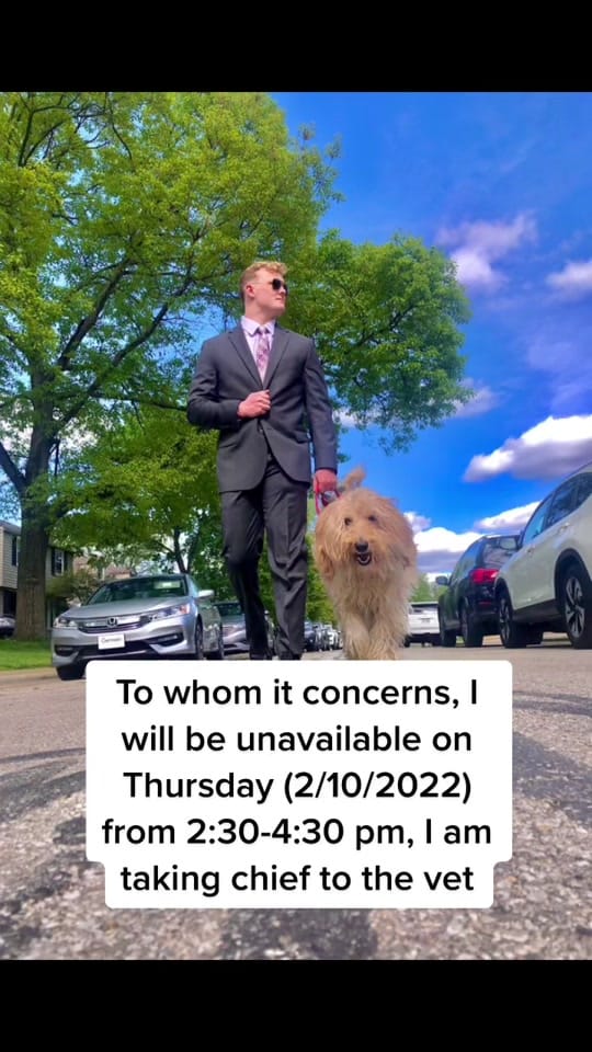 Post 8 by The Goat on TikTok (video)