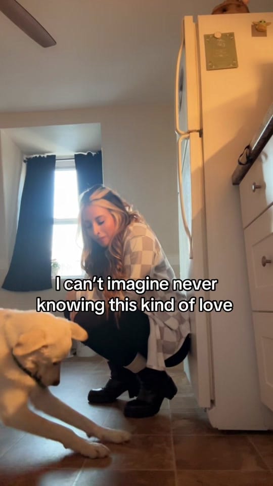 Post 2 by Cassandra on TikTok (video)