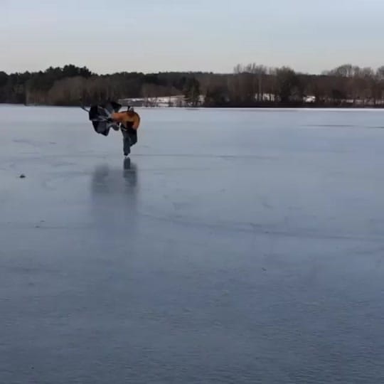Post 3 by Cardillo Weight Belts on TikTok (video)