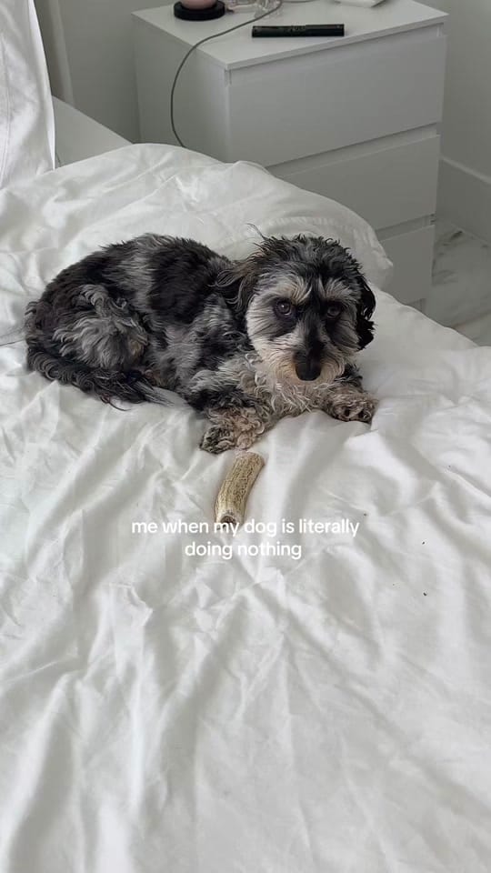 Post 6 by Serena on TikTok (video)