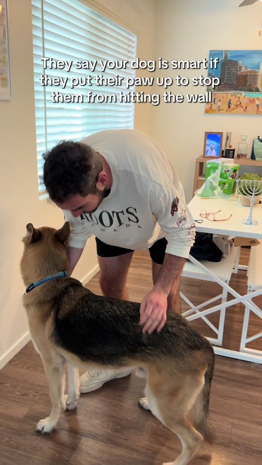 Post 8 by Maddy Ball on TikTok (video)