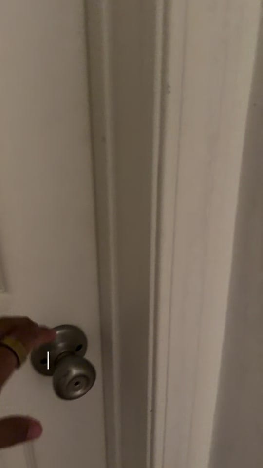 Post 6 by Maddy Ball on TikTok (video)