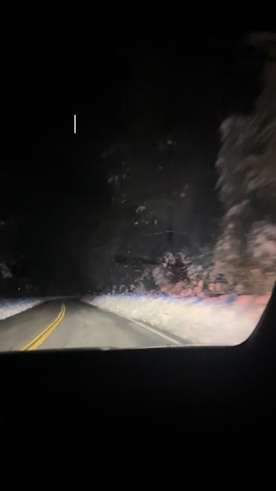Post 3 by Maddy Ball on TikTok (video)