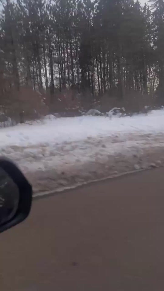 Post 8 by The Native One🪶💎 on TikTok (video)