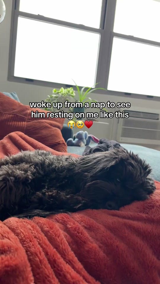 Post 4 by Gracie on TikTok (video)
