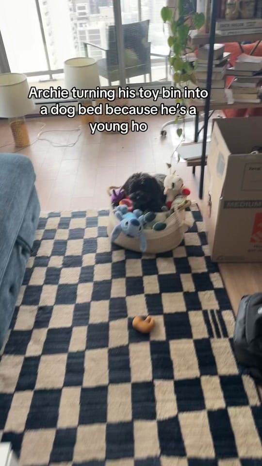 Post 2 by Gracie on TikTok (video)