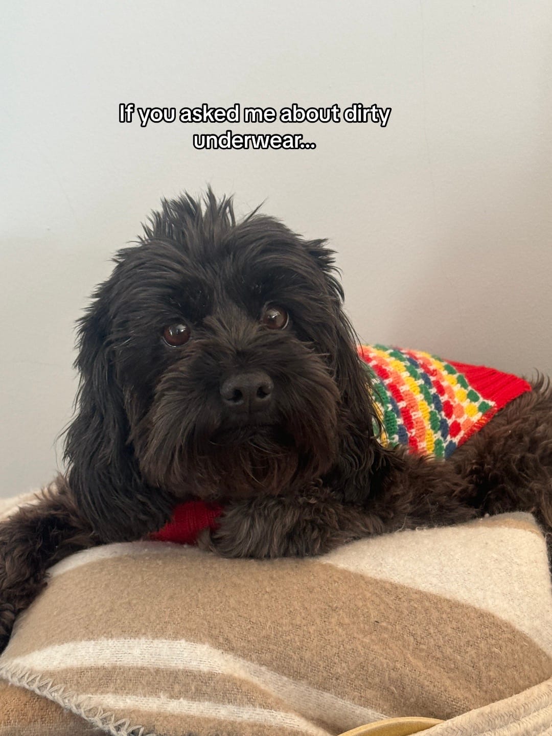Post 8 by Gracie on TikTok (video)